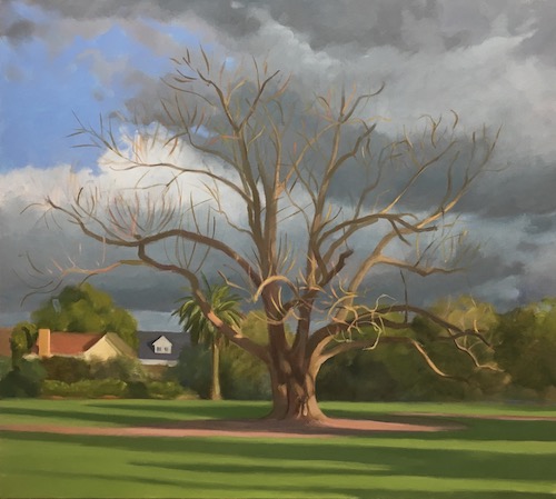 Big Tree On Broadway (Camberwell) 2018