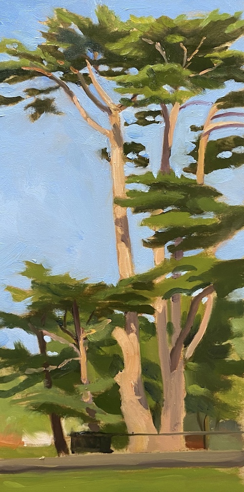 Cypress, Alphington Bowling Club 2024