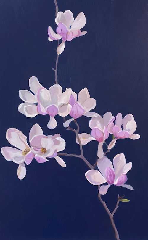 Magnolias For Susan Magnolias For Susan